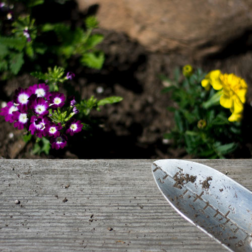 Unique Garden Services | Services | Planting | pIcture of trowel and cottage plants recently planted