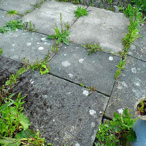 Unique Garden Services | Services | Hard surface treatment | pIcture of grey slate patio slabs