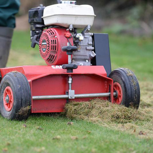 Unique Garden Services | Services | Scarification | pIcture of lawn with lots of uniformed holes